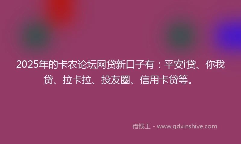 2025年的卡农论坛网贷新口子有：平安i贷、你我贷、拉卡拉、投友圈、信用卡贷等。