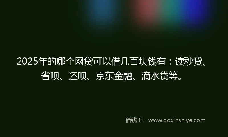 2025年的哪个网贷可以借几百块钱有：读秒贷、省呗、还呗、京东金融、滴水贷等。