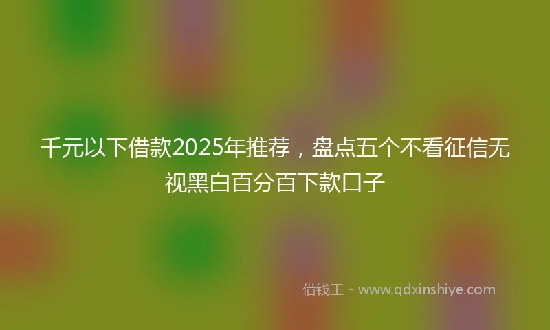 千元以下借款2025年推荐，盘点五个不看征信无视黑白百分百下款口子