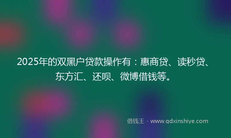 2025年的双黑户贷款操作有：惠商贷、读秒贷、东方汇、还呗、微博借钱等。