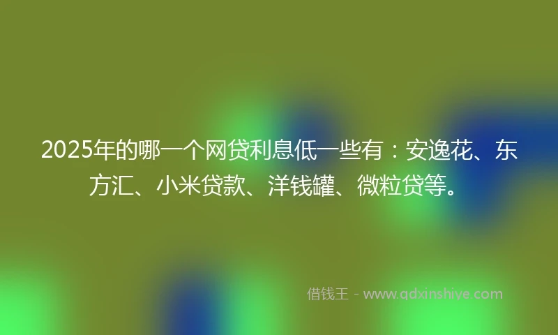 2025年的哪一个网贷利息低一些有：安逸花、东方汇、小米贷款、洋钱罐、微粒贷等。