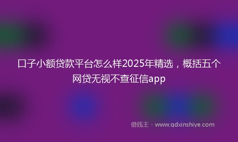 口子小额贷款平台怎么样2025年精选，概括五个网贷无视不查征信app