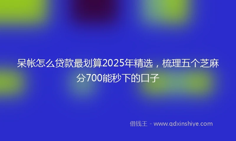 呆帐怎么贷款最划算2025年精选，梳理五个芝麻分700能秒下的口子