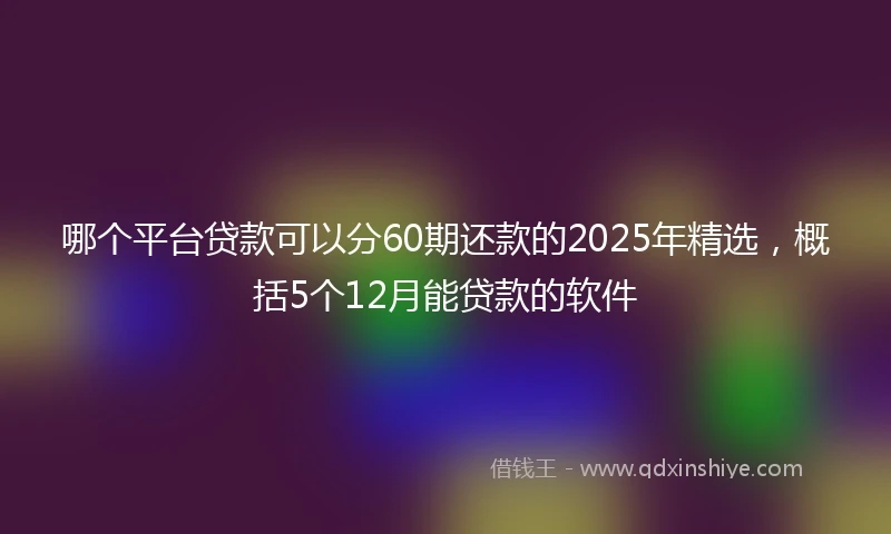 哪个平台贷款可以分60期还款的2025年精选，概括5个12月能贷款的软件