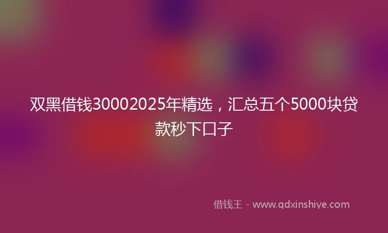双黑借钱30002025年精选，汇总五个5000块贷款秒下口子