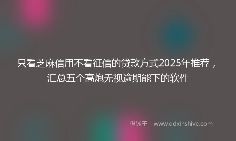 只看芝麻信用不看征信的贷款方式2025年推荐，汇总五个高炮无视逾期能下的软件