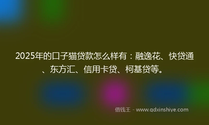 2025年的口子猫贷款怎么样有：融逸花、快贷通、东方汇、信用卡贷、柯基贷等。