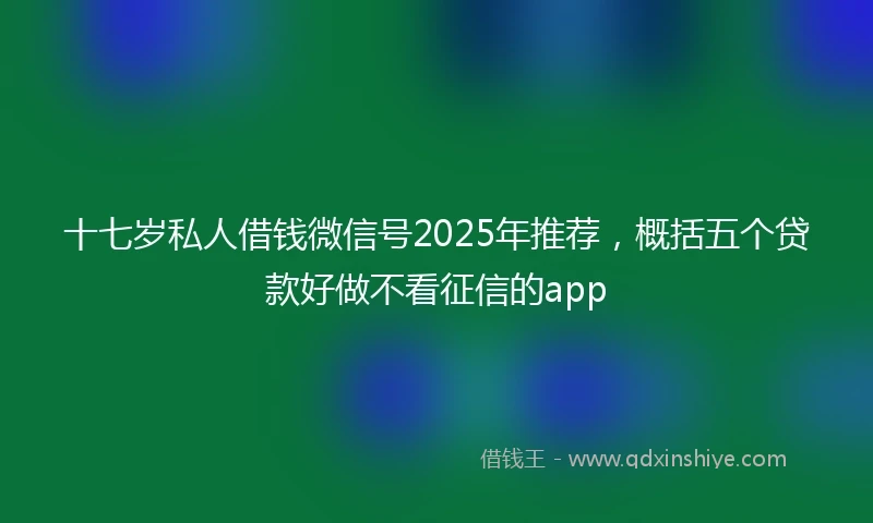 十七岁私人借钱微信号2025年推荐，概括五个贷款好做不看征信的app