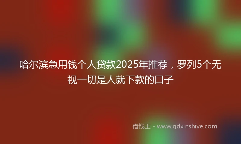 哈尔滨急用钱个人贷款2025年推荐，罗列5个无视一切是人就下款的口子