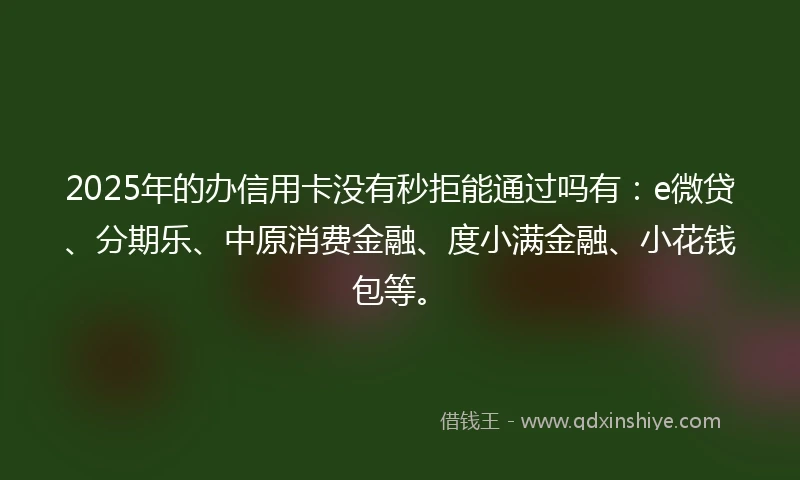2025年的办信用卡没有秒拒能通过吗有：e微贷、分期乐、中原消费金融、度小满金融、小花钱包等。