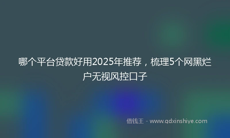 哪个平台贷款好用2025年推荐，梳理5个网黑烂户无视风控口子