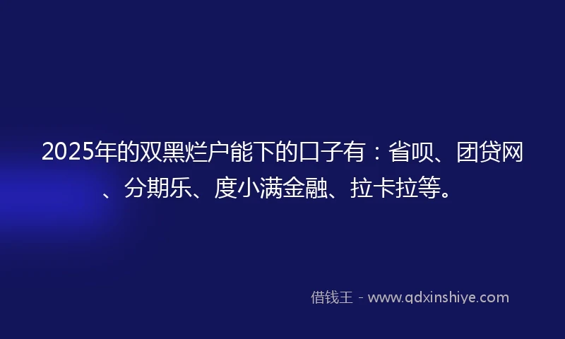 2025年的双黑烂户能下的口子有：省呗、团贷网、分期乐、度小满金融、拉卡拉等。