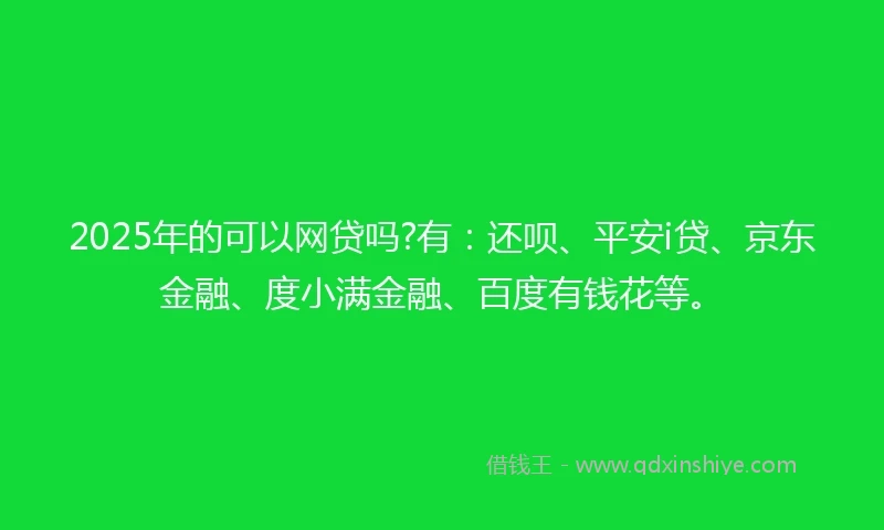 2025年的可以网贷吗?有：还呗、平安i贷、京东金融、度小满金融、百度有钱花等。