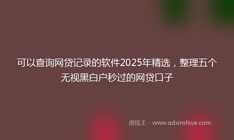 可以查询网贷记录的软件2025年精选，整理五个无视黑白户秒过的网贷口子