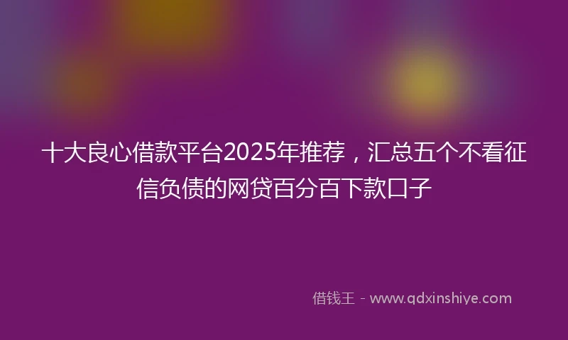 十大良心借款平台2025年推荐，汇总五个不看征信负债的网贷百分百下款口子