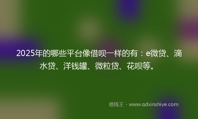 2025年的哪些平台像借呗一样的有：e微贷、滴水贷、洋钱罐、微粒贷、花呗等。