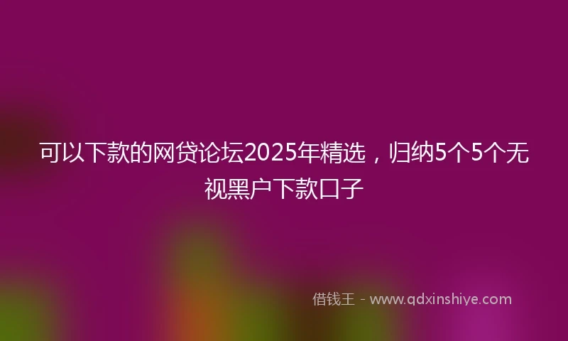 可以下款的网贷论坛2025年精选，归纳5个5个无视黑户下款口子