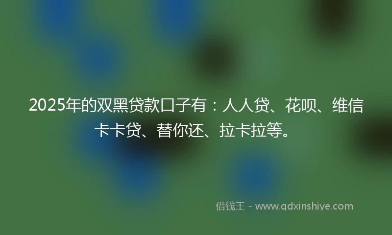 2025年的双黑贷款口子有：人人贷、花呗、维信卡卡贷、替你还、拉卡拉等。