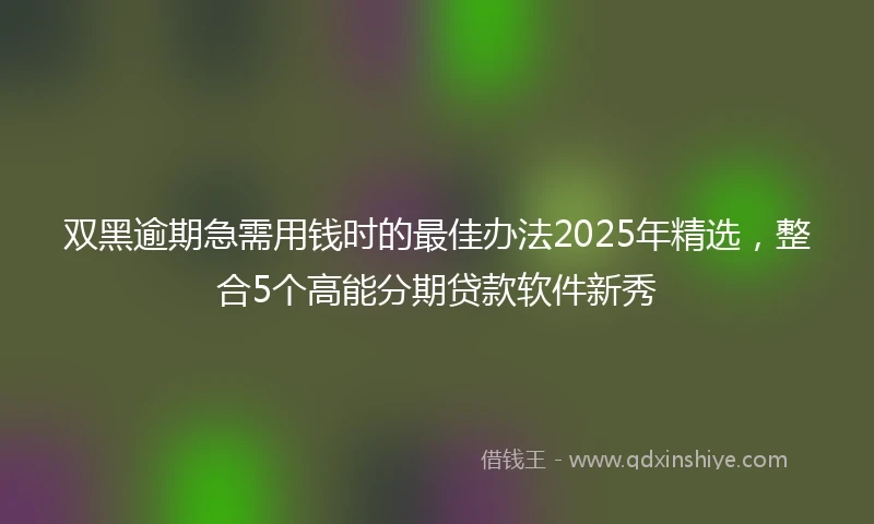 双黑逾期急需用钱时的最佳办法2025年精选，整合5个高能分期贷款软件新秀