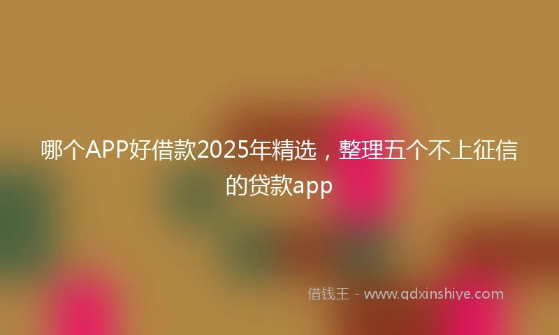 哪个APP好借款2025年精选，整理五个不上征信的贷款app