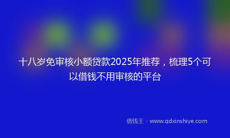 十八岁免审核小额贷款2025年推荐，梳理5个可以借钱不用审核的平台