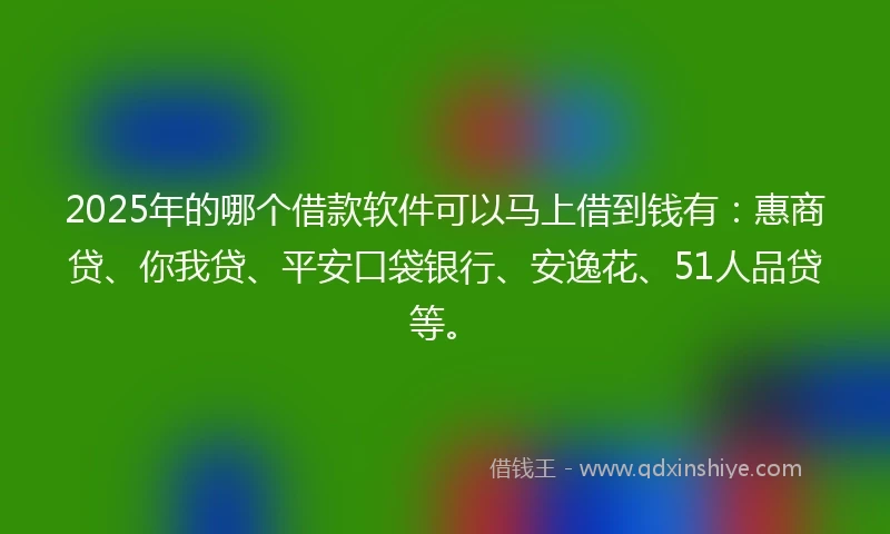 2025年的哪个借款软件可以马上借到钱有：惠商贷、你我贷、平安口袋银行、安逸花、51人品贷等。