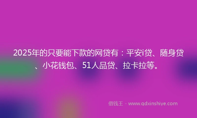 2025年的只要能下款的网贷有：平安i贷、随身贷、小花钱包、51人品贷、拉卡拉等。
