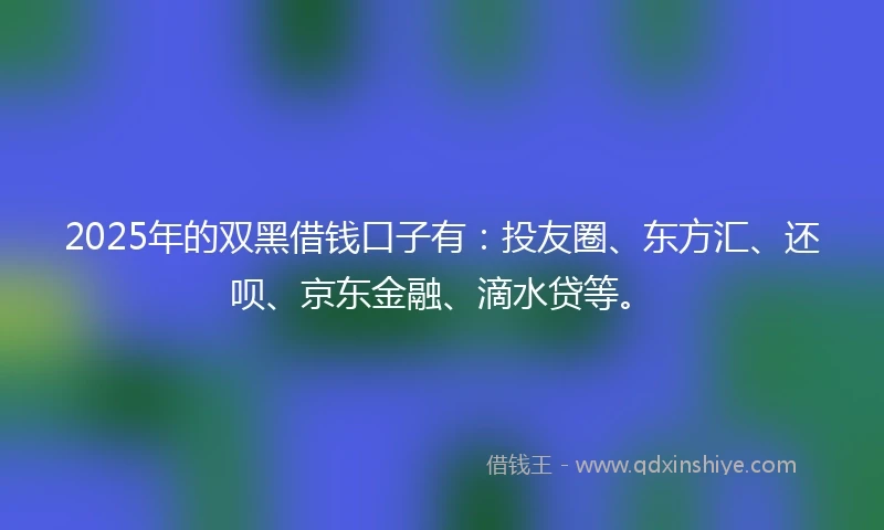 2025年的双黑借钱口子有：投友圈、东方汇、还呗、京东金融、滴水贷等。