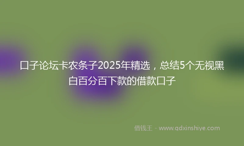 口子论坛卡农条子2025年精选，总结5个无视黑白百分百下款的借款口子