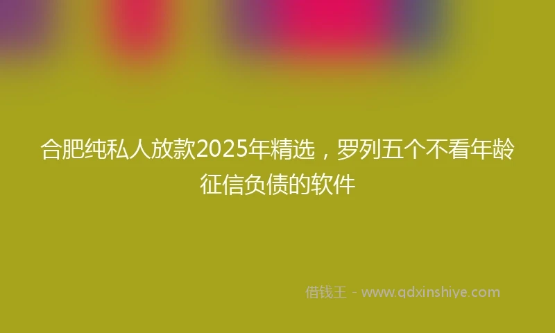 合肥纯私人放款2025年精选，罗列五个不看年龄征信负债的软件