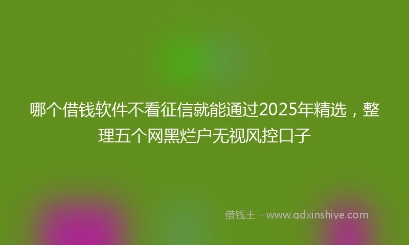 哪个借钱软件不看征信就能通过2025年精选，整理五个网黑烂户无视风控口子