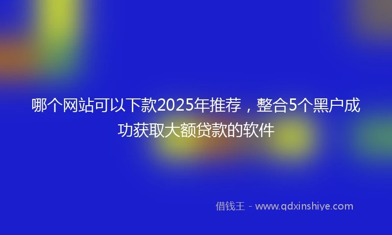 哪个网站可以下款2025年推荐，整合5个黑户成功获取大额贷款的软件