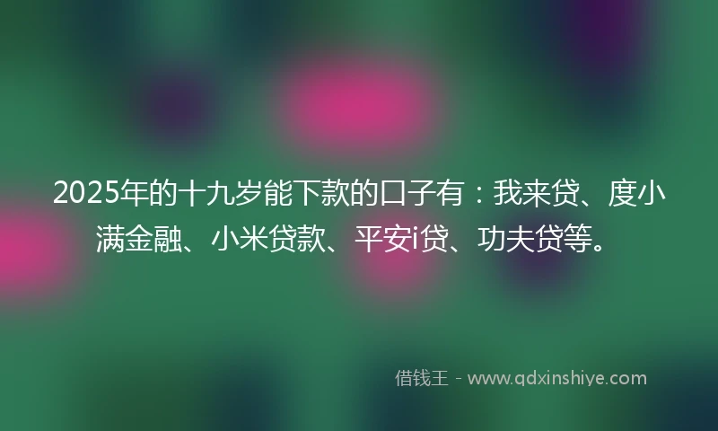 2025年的十九岁能下款的口子有：我来贷、度小满金融、小米贷款、平安i贷、功夫贷等。