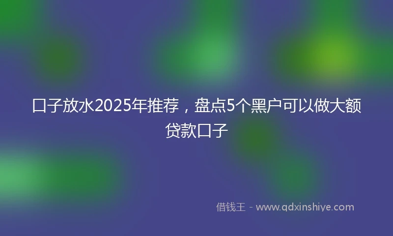 口子放水2025年推荐，盘点5个黑户可以做大额贷款口子