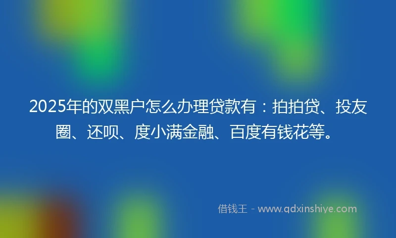 2025年的双黑户怎么办理贷款有：拍拍贷、投友圈、还呗、度小满金融、百度有钱花等。