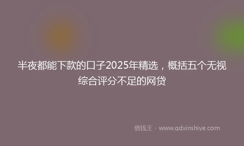 半夜都能下款的口子2025年精选，概括五个无视综合评分不足的网贷