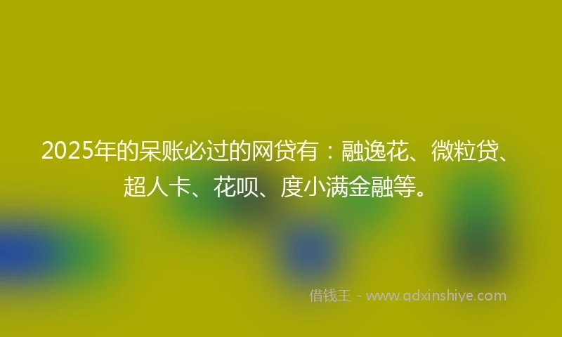 2025年的呆账必过的网贷有：融逸花、微粒贷、超人卡、花呗、度小满金融等。