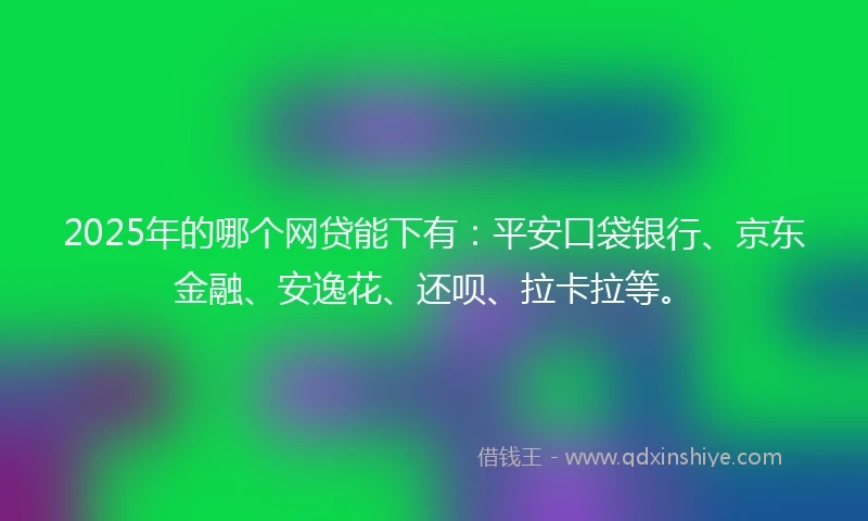 2025年的哪个网贷能下有：平安口袋银行、京东金融、安逸花、还呗、拉卡拉等。