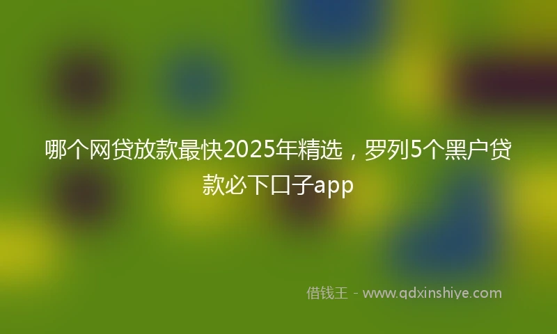哪个网贷放款最快2025年精选，罗列5个黑户贷款必下口子app