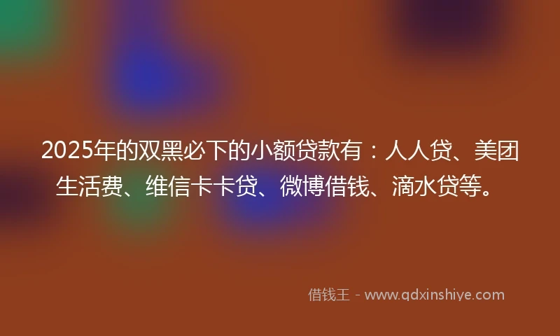 2025年的双黑必下的小额贷款有:人人贷、美团生活费、维信卡卡贷、微博借钱、滴水贷等。