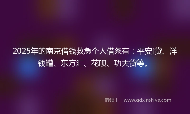 2025年的南京借钱救急个人借条有：平安i贷、洋钱罐、东方汇、花呗、功夫贷等。