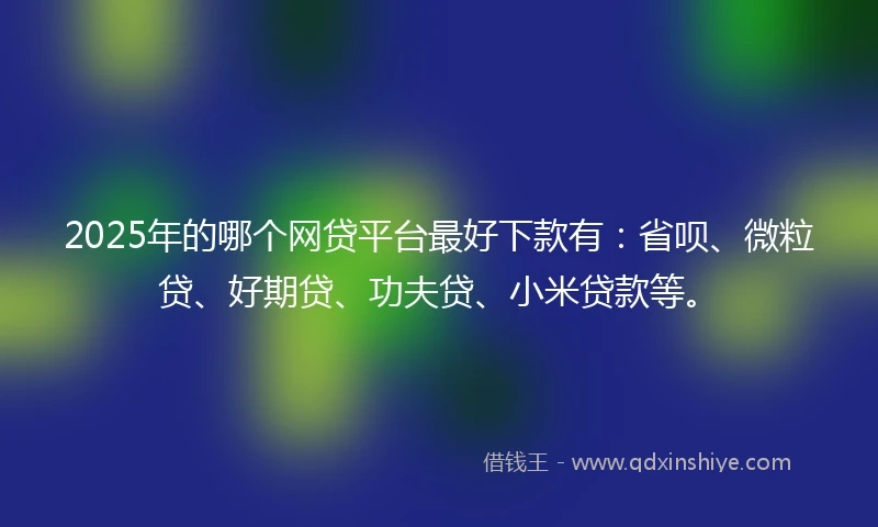 2025年的哪个网贷平台最好下款有：省呗、微粒贷、好期贷、功夫贷、小米贷款等。