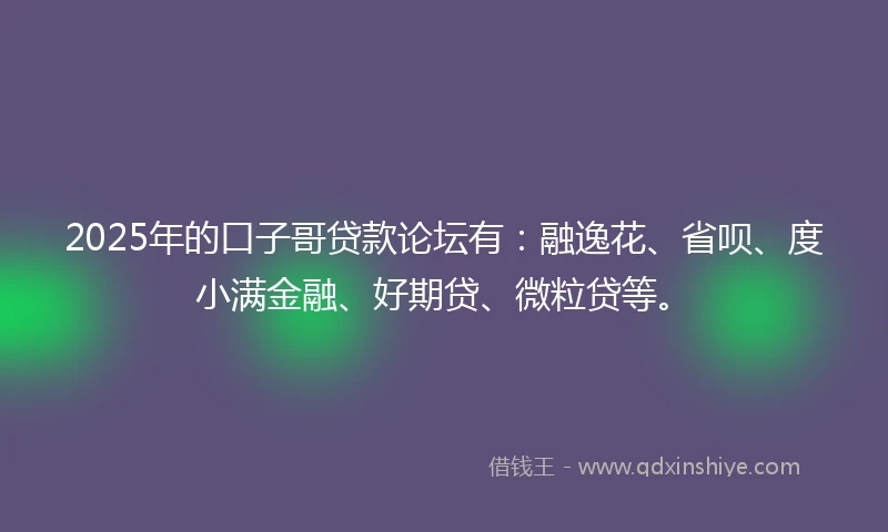 2025年的口子哥贷款论坛有：融逸花、省呗、度小满金融、好期贷、微粒贷等。