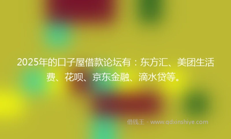 2025年的口子屋借款论坛有：东方汇、美团生活费、花呗、京东金融、滴水贷等。