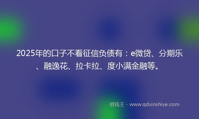 2025年的口子不看征信负债有：e微贷、分期乐、融逸花、拉卡拉、度小满金融等。