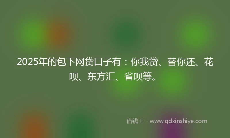 2025年的包下网贷口子有：你我贷、替你还、花呗、东方汇、省呗等。