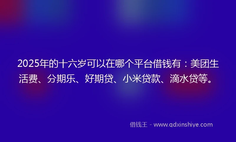 2025年的十六岁可以在哪个平台借钱有：美团生活费、分期乐、好期贷、小米贷款、滴水贷等。
