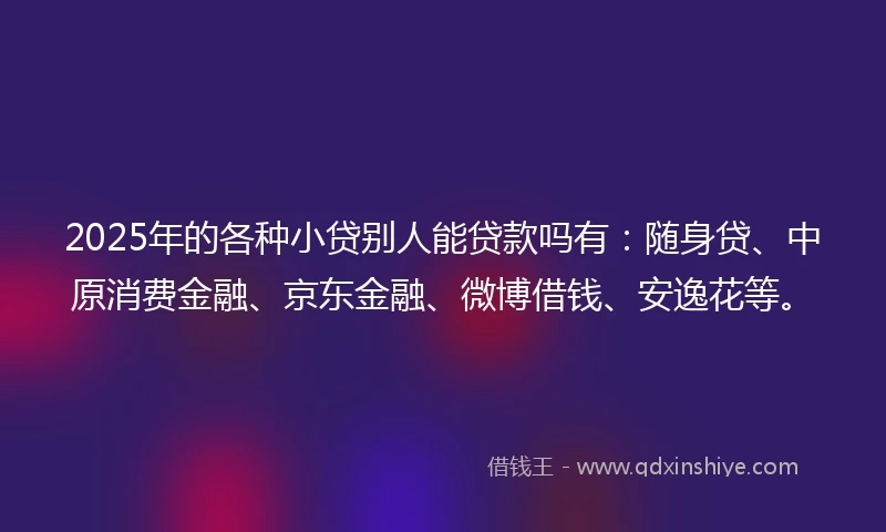 2025年的各种小贷别人能贷款吗有：随身贷、中原消费金融、京东金融、微博借钱、安逸花等。