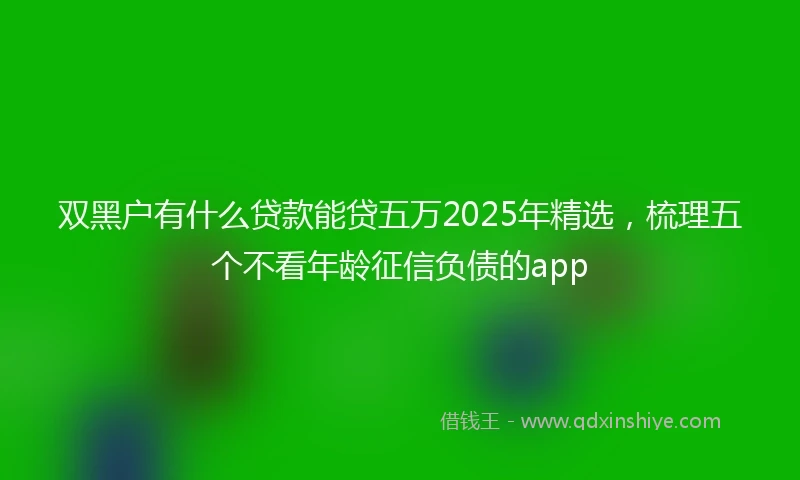 双黑户有什么贷款能贷五万2025年精选，梳理五个不看年龄征信负债的app