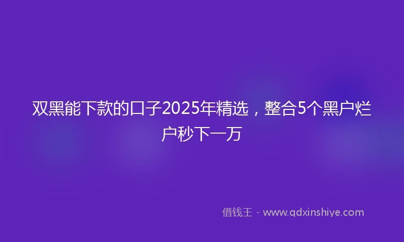 双黑能下款的口子2025年精选，整合5个黑户烂户秒下一万